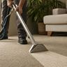 Carpet steam cleaning service