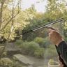 Window cleaning service